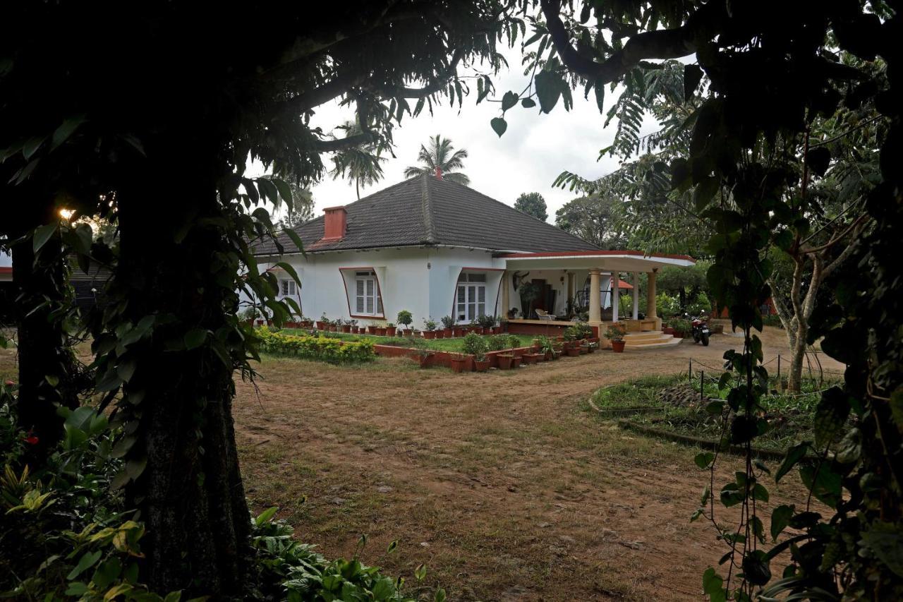 Devi Villa - Plantation Retreat And Forest Getaway Kutta ภายนอก รูปภาพ